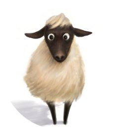 �R�x�ɏZ�ރJ�V�~���R�r�̖т𗘗p���Ă��܂�